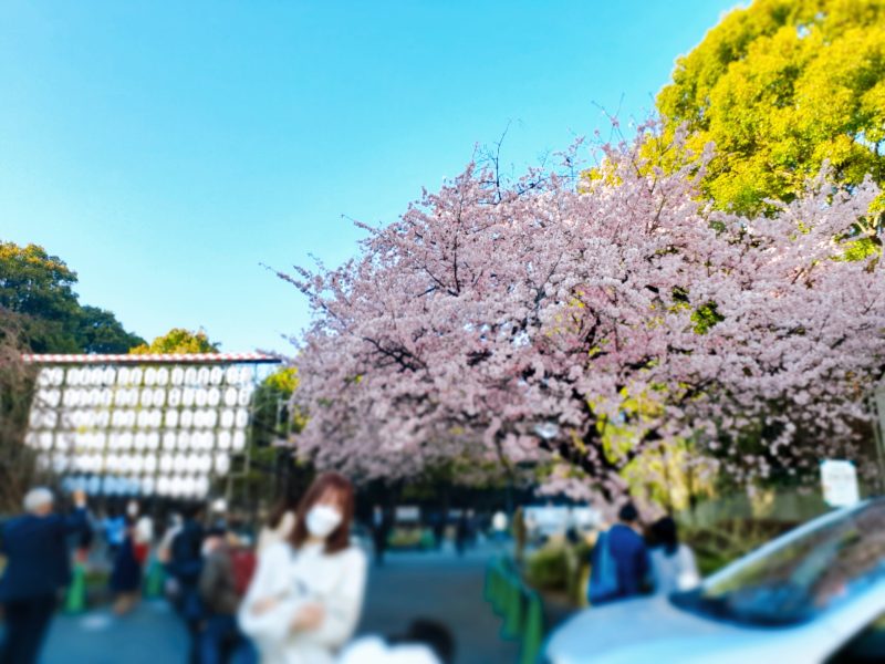 お外で食べよう♪