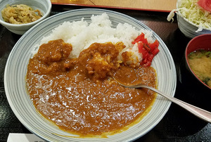 焼き鳥屋カレー